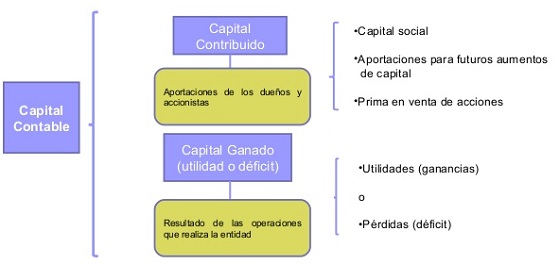 Capital Contable 5617